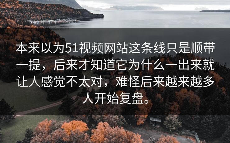 本来以为51视频网站这条线只是顺带一提，后来才知道它为什么一出来就让人感觉不太对，难怪后来越来越多人开始复盘。