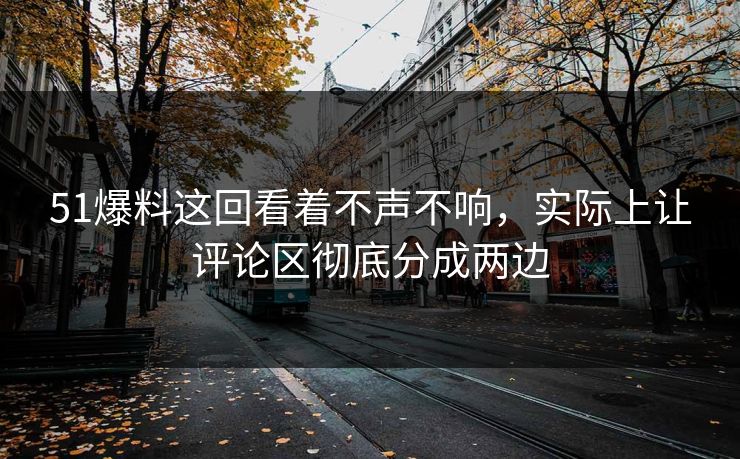 51爆料这回看着不声不响，实际上让评论区彻底分成两边