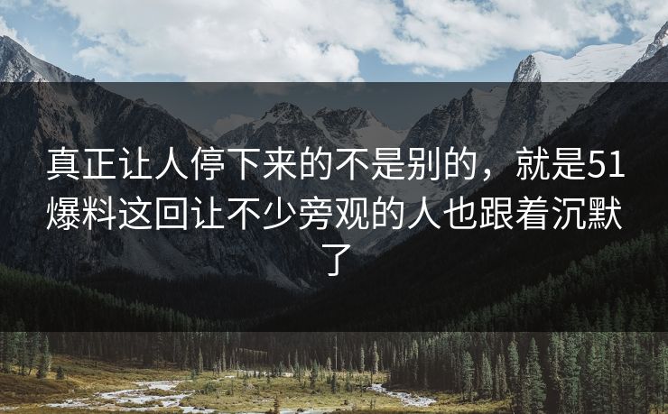 真正让人停下来的不是别的，就是51爆料这回让不少旁观的人也跟着沉默了  第1张