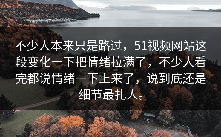不少人本来只是路过，51视频网站这段变化一下把情绪拉满了，不少人看完都说情绪一下上来了，说到底还是细节最扎人。