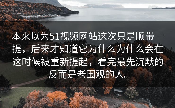 本来以为51视频网站这次只是顺带一提，后来才知道它为什么为什么会在这时候被重新提起，看完最先沉默的反而是老围观的人。