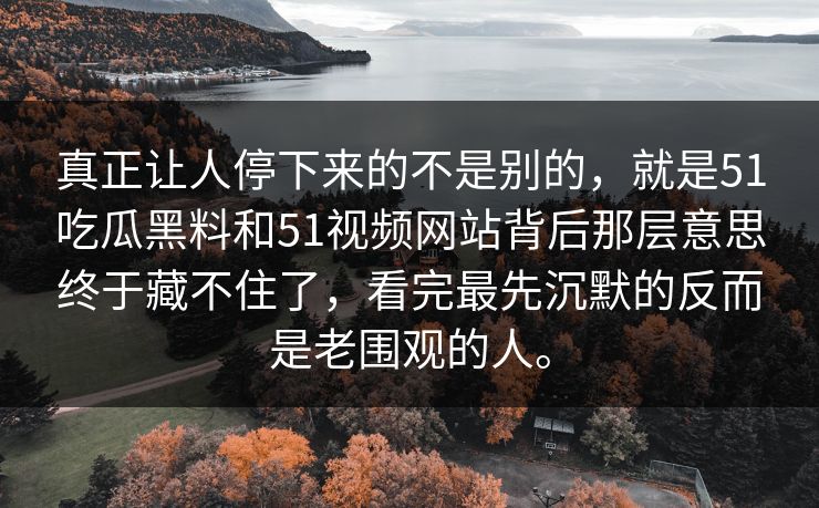 真正让人停下来的不是别的，就是51吃瓜黑料和51视频网站背后那层意思终于藏不住了，看完最先沉默的反而是老围观的人。