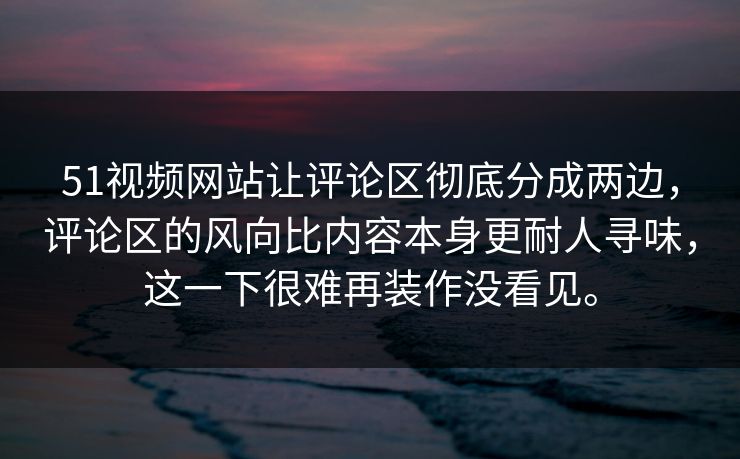 51视频网站让评论区彻底分成两边，评论区的风向比内容本身更耐人寻味，这一下很难再装作没看见。